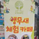 리프패럿영통
