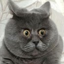 월계구민체육센터 이미지