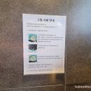 와우펜션2 | 거제 펜션 으로 한번 가보고 싶었던 와우펜션 내돈내산 솔직후기