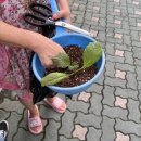 늘푸른 농약사 이미지