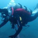 선곡목장 이미지