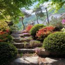 진여울펜션 이미지