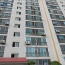 칠성로-6 이미지