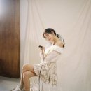 푸들사랑 이미지