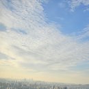 케이엔 국제행정사사무소(KNIAA, 네이버블로그