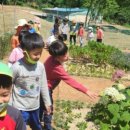 옥수사과농원