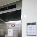 니골리앙턱시도