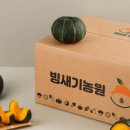 제주 빙새기 이미지