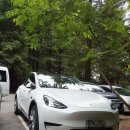 OK택시 노동조합 | 오클랜드 출발 로토루아 택시 투어｜지열·마오리 문화 하루 코스