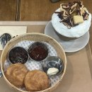 담장예쁜집 | 고속터미널카페 담장옆에국화꽃 파미에점