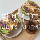 달빙샌드 이미지