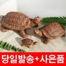 미니어처음식 국내당일배송 생기 거북이 도자기 개업선물 가게 식당 카페 사업운 재물복 집들이 선물 풍수명당 인테리어 이미지