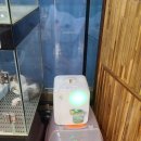 톰앤캣 광명고양이분양 이미지