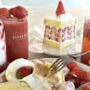 베리코스 이미지