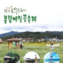 커피버스 이미지