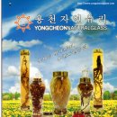 용천자연유리 Daum카페