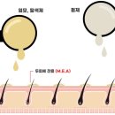 두피랑염색이랑