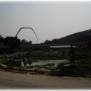 가리역터 Daum카페