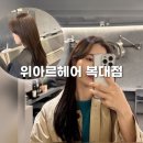청주 복대동 미용실 추천::위아르헤어 복대점 모카무스 염색 후기