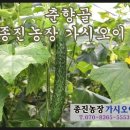 종진농장 이미지