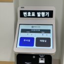 단독신장?이소성신장?, 신촌세브란스병원진료후기 , 채혈 및 신장초음파검사 후 비뇨기과진료