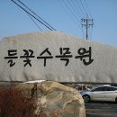 들꽃수목원 이미지