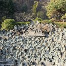 와우정사 이미지