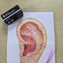 귀건강,이혈테라피 자격증과정(야간) | 귀지압스티커 직접 써본 후기, 헬씨이어 기석 귀지압패치 사용법까지