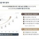 펫브릿지 이미지