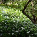 유달산 조각공원 이미지