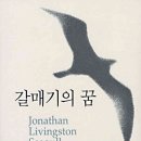 갈매기의꿈