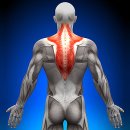 팀터틀랫 동래점 이미지