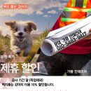 벽지 뜯는 강아지&가람 이미지