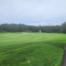 더시에나CC 이미지