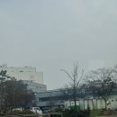 갯마을 수산 | [수협강서수산물도매시장] - 강서수산시장 서해수산 킹크랩, 갯마을 초장집 후기(내돈내산)