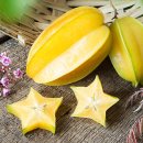 달콤후르츠달콤Fruit