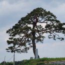 낭산면 행정복지센터 이미지