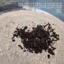 광명지타워한의원 이미지