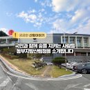 산림청 영월국유림관리소 | 국민과 함께 숲을 지키는 사람들 - 동부지방산림청을 소개합니다