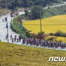 거창-남상-10 이미지