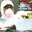 삼성기름 이미지