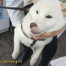 소라약국 이미지