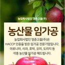 법인영춘 이미지