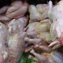 신창닭집