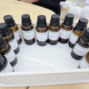 앙볼리 펫샵 이미지