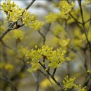 복정역 3번출구 앞 이미지