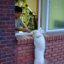 레오의집