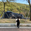 키카푸스튜디오 | 여러번 교체 후 정착한 캠핑용품 추천