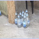저는 최근 제주에서 먹은 맛집인 누렁소앤도새기에 대해 후기를 작성하려고 해요