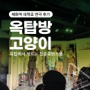 옥탑방 | [혜화역 대학로 연극 후기] 옥탑방 고양이 : 옥탑에서 싹트는 청춘 로맨스물